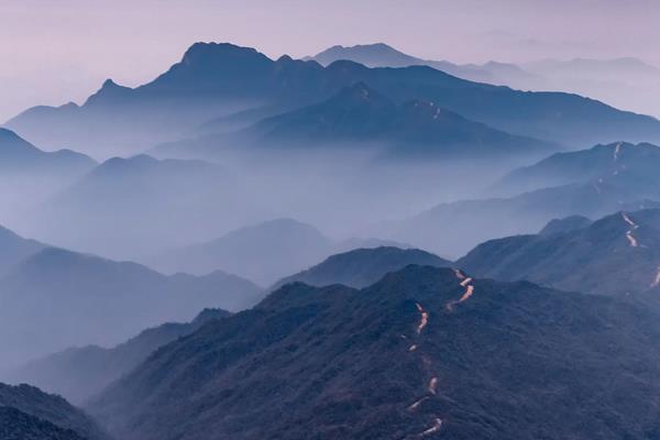 山丁子苗的特点是什么？什么时候种植