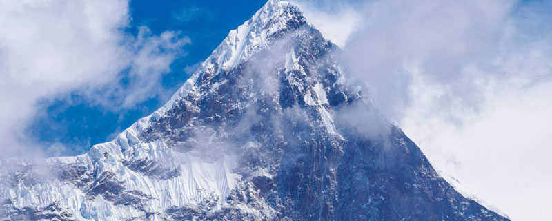 过山峰是什么蛇？泡酒有什么效果？过山峰蛇为何追人